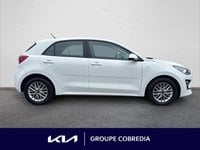 Voitures D'occasion À Yffiniac | Kia Rio 1.0 T-Gdi 100Ch Active