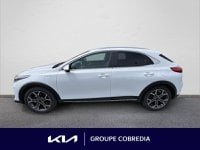 Voitures D'occasion À Yffiniac | Kia Xceed 1.6 Gdi 105Ch + Plug-In 60.5Ch Black & White Edition ...
