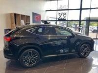 Voitures D'occasion À Lanester | Lexus Nx 450H+ Executive 4Wd My25