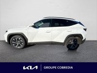 Voitures D'occasion À Yffiniac | Hyundai Tucson 1.6 Crdi 136Ch Hybrid 48V Creative Dct7