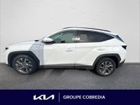 Voitures D'occasion À Yffiniac | Hyundai Tucson 1.6 Crdi 136Ch Hybrid 48V Creative Dct7