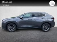 Voitures D'occasion À Lanester | Lexus Nx 450H+ Luxe 4Wd My25