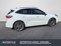 Voitures D'occasion À Lanester | Ford Kuga 2.5 Duratec 190Ch Fhev E85 St-Line Business Bva