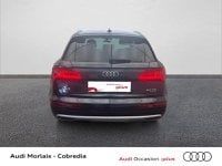 Voitures D'occasion À Saint-Martin-Des-Champs | Audi Q5 50 Tdi 286Ch Design Luxe Quattro Tiptron...