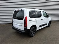 Voitures D'0Km À Ganges | Citroën Berlingo Taille M Bluehdi 130 S&S Eat8 Max -N1