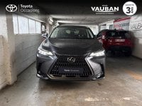 Voitures D'occasion À Le Chesnay | Lexus Nx 350H Executive 2Wd My25