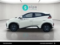 Voitures D'0Km À Le Bouscat | Byd Dolphin Surf 30 Kwh 88 Ch 4 Places Active 5P