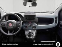 Voitures D'0Km À Mérignac | Fiat Pandina 1.0 65 Ch Hybrid Bsg S/S Icône 5P