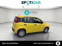Voitures D'occasion À Toulouse | Fiat Pandina 1.0 65 Ch Hybrid Bsg S/S Pop 5P