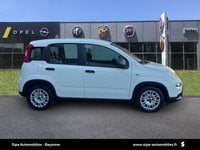 Voitures D'occasion À Bayonne | Fiat Panda 1.0 70 Ch Hybrid Bsg S/S 5P