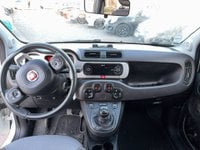 Voitures D'occasion À Muret | Fiat Panda 1.3 Multijet 95 Ch S&S City Cross Plus 5P