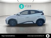 Voitures D'0Km À Mérignac | Byd Dolphin Surf 30 Kwh 88 Ch 4 Places Active 5P