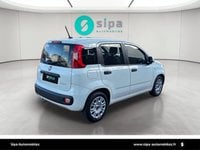 Voitures D'occasion À Mérignac | Fiat Panda 1.0 70 Ch Hybride Bsg S/S Easy 5P