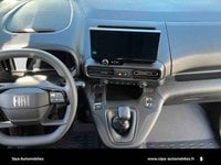 Voitures D'0Km À Mérignac | Fiat Doblò Doblo Fg Doblo Fourgon M 650 Kg Bluehdi 100 S&S Bvm6 4P