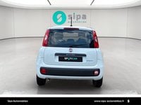 Voitures D'occasion À Mérignac | Fiat Panda 1.0 70 Ch Hybride Bsg S/S Easy 5P
