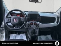 Voitures D'occasion À Bayonne | Fiat Panda City Cross 1.0 70 Ch Hybride Bsg S/S 5P