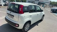Voitures D'occasion À Toulouse | Fiat Panda 1.2 69 Ch S/S Easy 5P