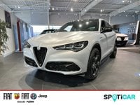 Voitures Occasion Alfa Romeo Stelvio 2.2 Diesel 160Ch Competizione At8 À Plérin