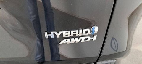 Voitures Occasion Toyota Rav4 V Hybride 222 Ch Awd-I Black Edition À Montauban