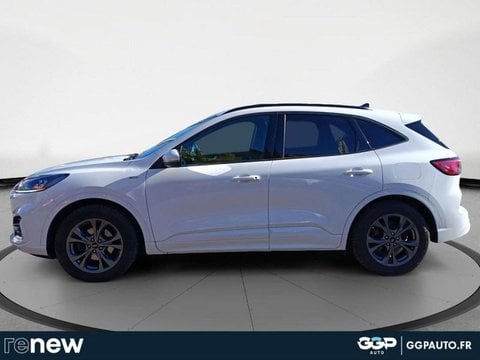 Voitures D'occasion À Seclin | Ford Kuga 2.0 Ecoblue 190Ch St-Line Bva I-Awd