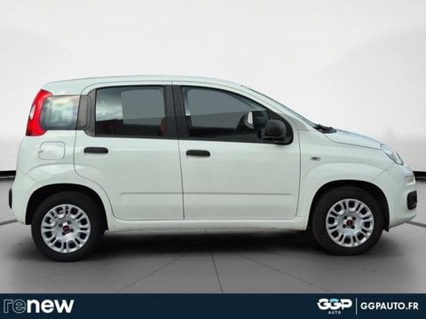 Voitures D'occasion À Montpellier | Fiat Panda 1.2 8V 69Ch Pop