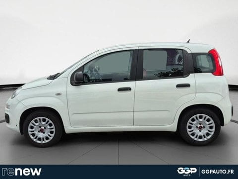 Voitures D'occasion À Montpellier | Fiat Panda 1.2 8V 69Ch Pop