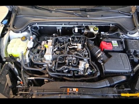 Voitures D'neuves Stock À Faches Thumesnil | Ford Focus 1.0 Ecoboost Hybrid 155 Ch S&S (Mhev) Es...