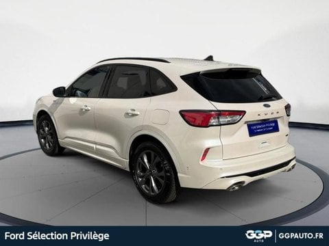 Voitures D'occasion À Armentières | Ford Kuga 2.5 Duratec 190Ch Fhev St-Line X Bva
