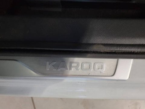 Voitures D'occasion À Seclin | Škoda Karoq 2.0 Tdi 116Ch Scr Ambition