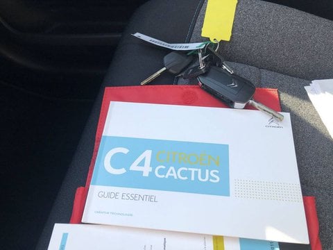 Voitures D'occasion À Cognac | Citroën C4 Cactus Bluehdi 120 S&S Eat6 Feel
