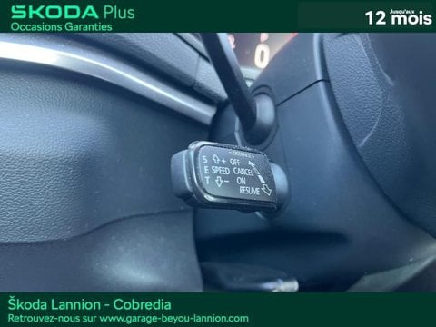 Voitures D'occasion À Lannion | Škoda Karoq 2.0 Tdi 116Ch Scr Business Dsg7