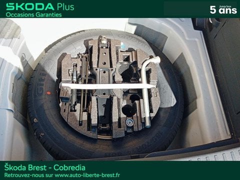 Voitures D'occasion À Brest | Škoda Fabia 1.0 Tsi 95Ch Monte Carlo