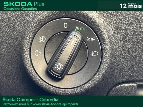 Voitures D'occasion À Quimper | Škoda Karoq 2.0 Tdi 116Ch Scr Business Dsg7