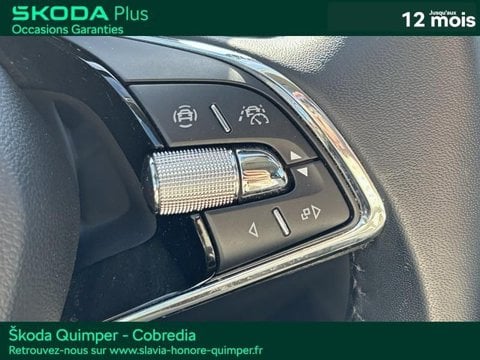 Voitures D'occasion À Quimper | Škoda Karoq 2.0 Tdi 116Ch Scr Business Dsg7