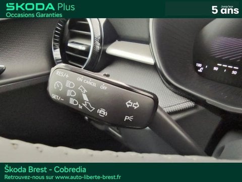 Voitures D'occasion À Brest | Škoda Fabia 1.0 Tsi Evo2 116Ch Selection Dsg7