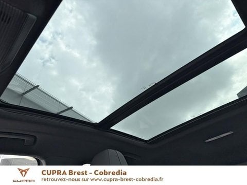 Voitures D'occasion À Brest | Cupra Terramar 1.5 Ehybrid 272Ch Vz Dsg6