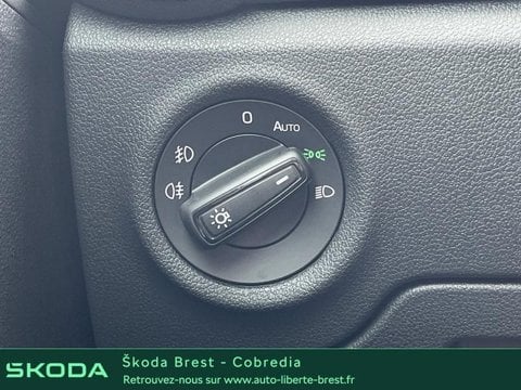 Voitures D'occasion À Brest | Škoda Fabia 1.5 Tsi Evo2 177Ch '130' Dsg7