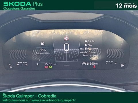 Voitures D'occasion À Quimper | Škoda Karoq 2.0 Tdi 116Ch Scr Business Dsg7