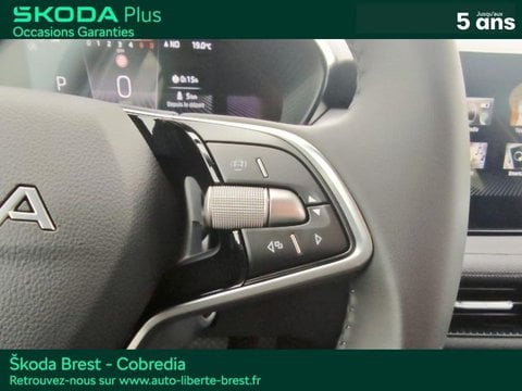 Voitures D'occasion À Brest | Škoda Fabia 1.0 Tsi Evo2 116Ch Selection Dsg7
