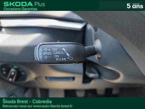 Voitures D'occasion À Brest | Škoda Karoq 1.0 Tsi 110Ch Business