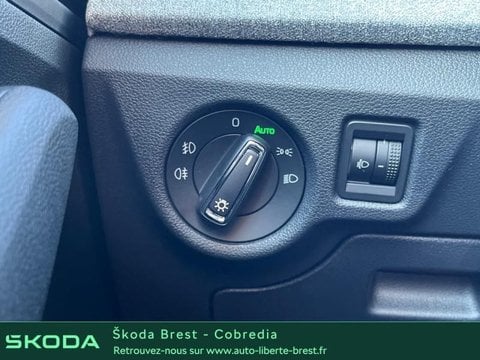 Voitures D'occasion À Brest | Škoda Kamiq 1.0 Tsi Evo 2 116Ch Selection Dsg7