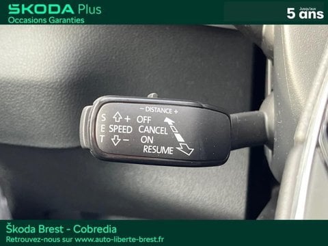Voitures D'occasion À Brest | Škoda Karoq 2.0 Tdi 116Ch Scr Business Dsg7