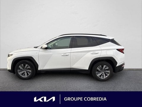 Voitures D'occasion À Yffiniac | Hyundai Tucson 1.6 Crdi 136Ch Hybrid 48V Creative Dct7
