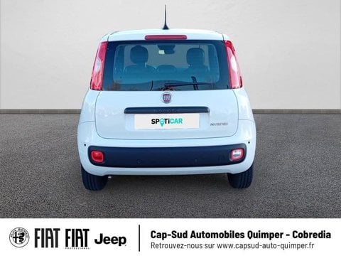 Voitures D'occasion À Quimper | Fiat Panda Pandina 1.0 65Ch Bsg S&S Hybrid Icône