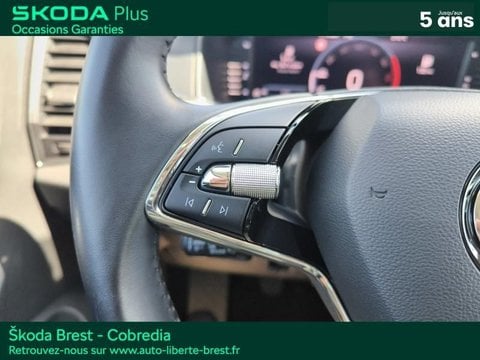 Voitures D'occasion À Brest | Škoda Karoq 1.0 Tsi 110Ch Business