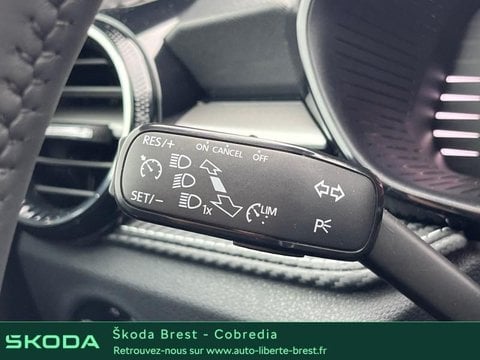 Voitures D'occasion À Brest | Škoda Fabia 1.5 Tsi Evo2 177Ch '130' Dsg7