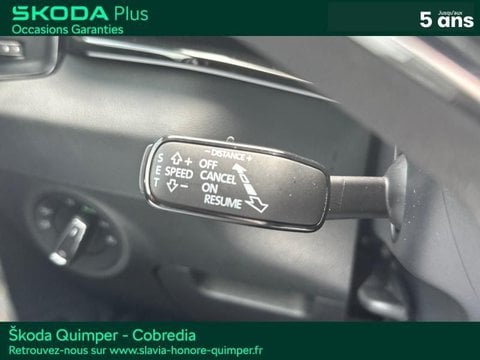 Voitures D'occasion À Quimper | Škoda Karoq 2.0 Tdi 116Ch Scr Style Dsg7
