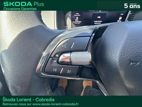 Voitures D'occasion À Lanester | Škoda Karoq 2.0 Tdi 116Ch Scr Business Dsg7