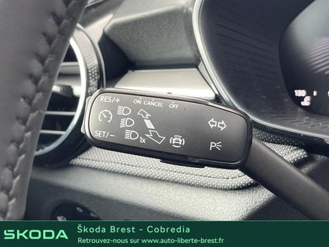 Voitures D'occasion À Brest | Škoda Fabia 1.0 Tsi Evo2 116Ch Clever Edition Dsg7