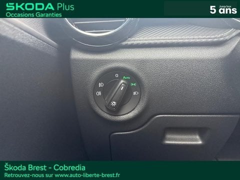 Voitures D'occasion À Brest | Škoda Fabia 1.0 Tsi Evo2 116Ch Monte Carlo Dsg7